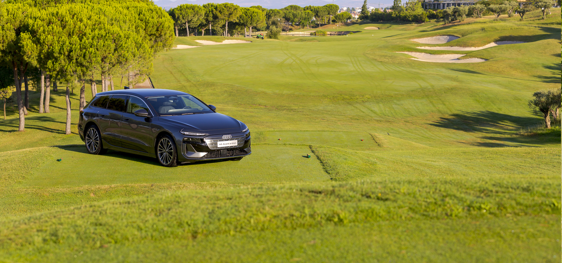 ¿Eres cliente Audi?